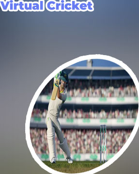 Cricket cricket game